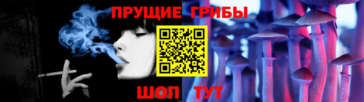 Псилоцибиновые грибы прущие грибы Чехов